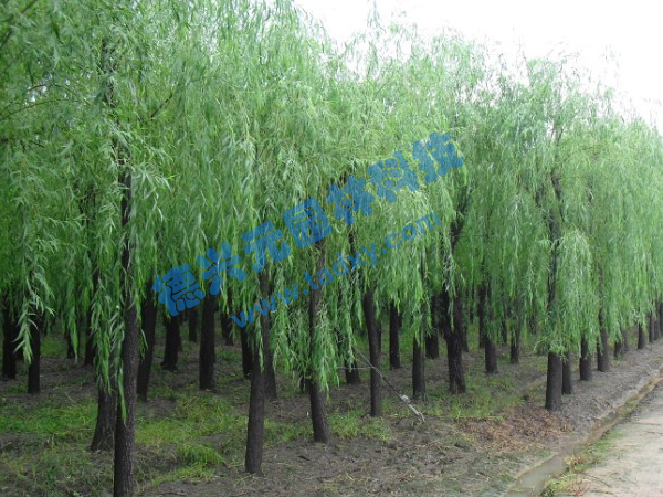 �c���鿴Ԕ����Ϣ���}������ ��x�Δ�(sh��)��2291