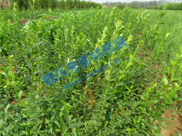 �c���鿴Ԕ����Ϣ���}�����~������ ��x�Δ�(sh��)��2662