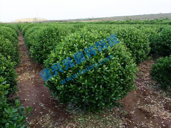 �c���鿴Ԕ����Ϣ���}�����~�S���� ��x�Δ�(sh��)��2434