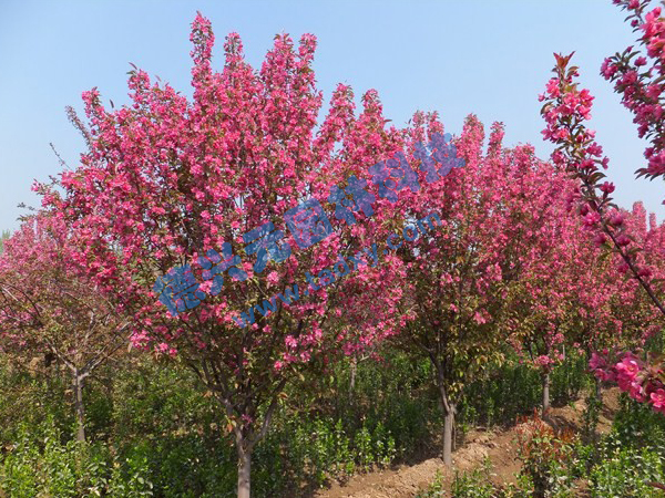 �c���鿴Ԕ����Ϣ���}������ ��x�Δ�(sh��)��2301