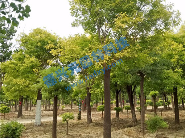 �c���鿴Ԕ����Ϣ���}�����~�� ��x�Δ���2235