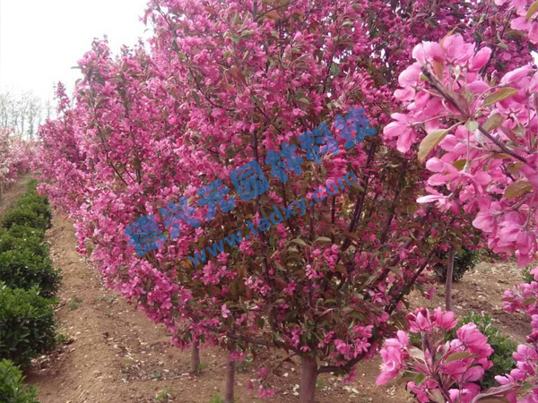 �c���鿴Ԕ����Ϣ���}���k������ ��x�Δ���2151